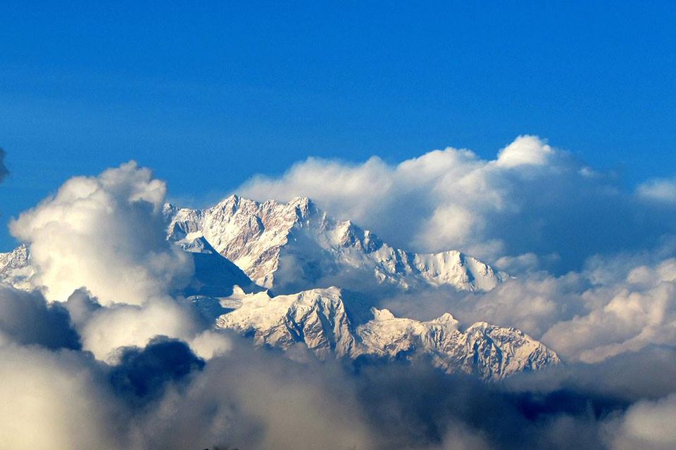 Photo of Trekking through Singaleela National Park 4/23 by sananda dasgupta