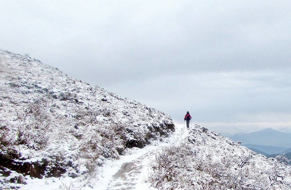 Photo of Trekking through Singaleela National Park 5/23 by sananda dasgupta