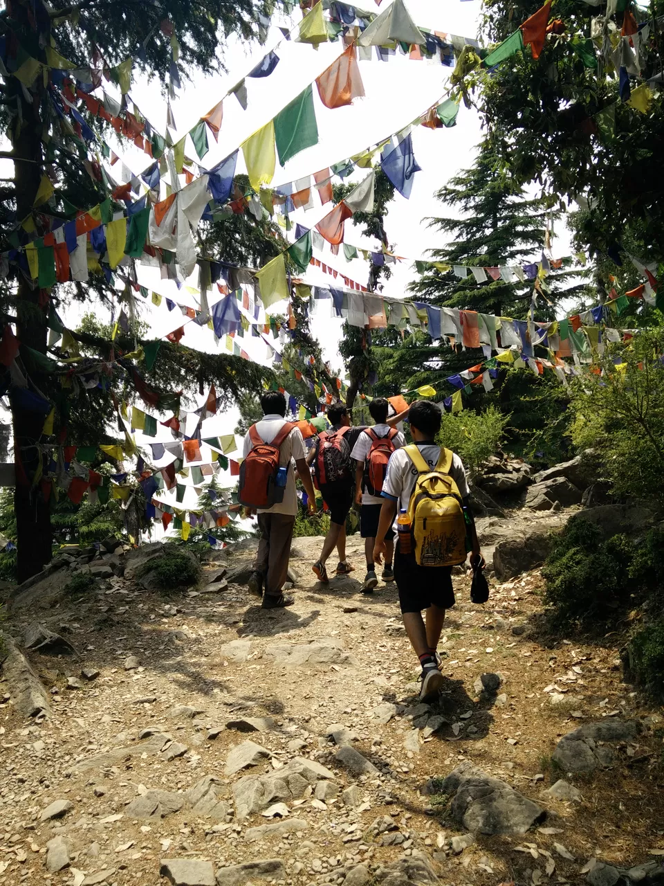 Photo of Bhagsu Nag, Dharamshala, Himachal Pradesh, India by Divyam Gupta