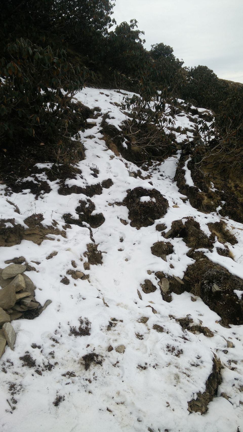 Photo of My First Solo Backpacking to Chandrashila 8/16 by Divyam Gupta