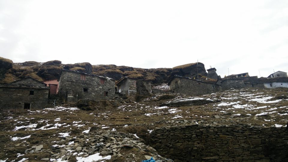 Photo of My First Solo Backpacking to Chandrashila 10/16 by Divyam Gupta