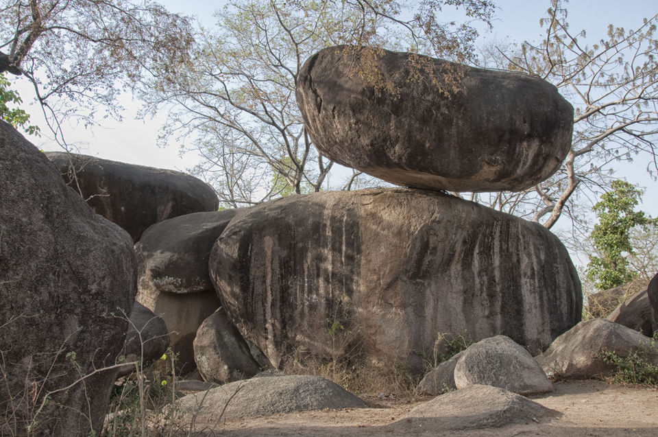 Photo of 3 Places In Jabalpur Worth Visiting 1/3 by Shaunak Marulkar