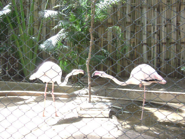 Photo of Mysore Zoo, Mysore, Karnataka, India by Aishwarya Venugopal