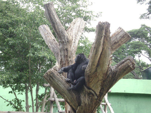 Photo of Mysore Zoo, Mysore, Karnataka, India by Aishwarya Venugopal