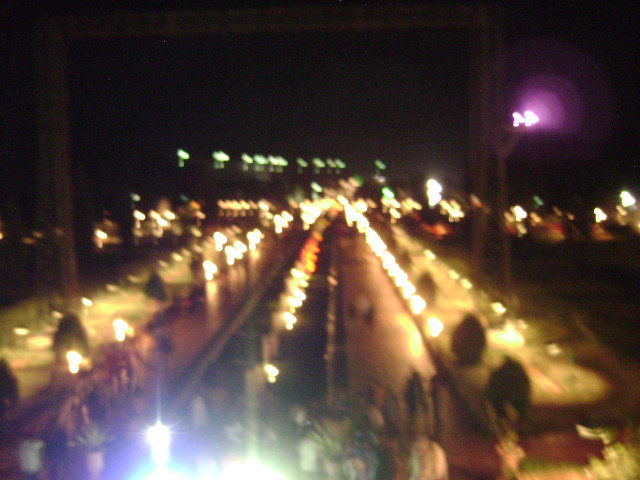 Photo of Brindavan Gardens, Mandya, Karnataka, India by Aishwarya Venugopal