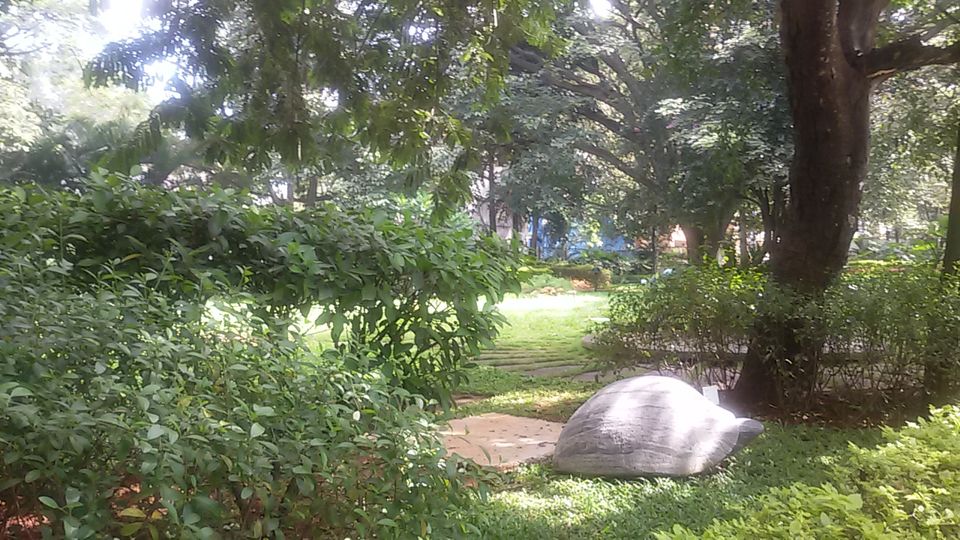 Photo of A day in the garden city - Bangalore 2/13 by Aishwarya Venugopal