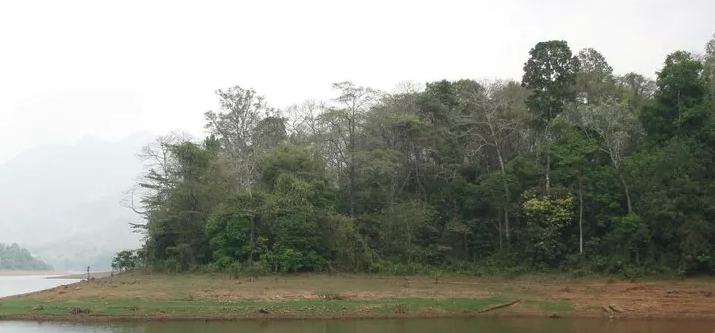 Photo of Vagamon- Uneven Greenery 6/7 by Aishwarya Venugopal
