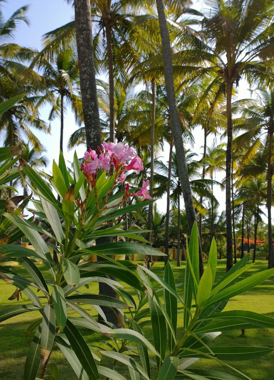 Photo of A lot MORE in MANGALORE 5/8 by Aishwarya Venugopal
