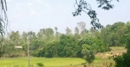 Photo of A lot MORE in MANGALORE 8/8 by Aishwarya Venugopal