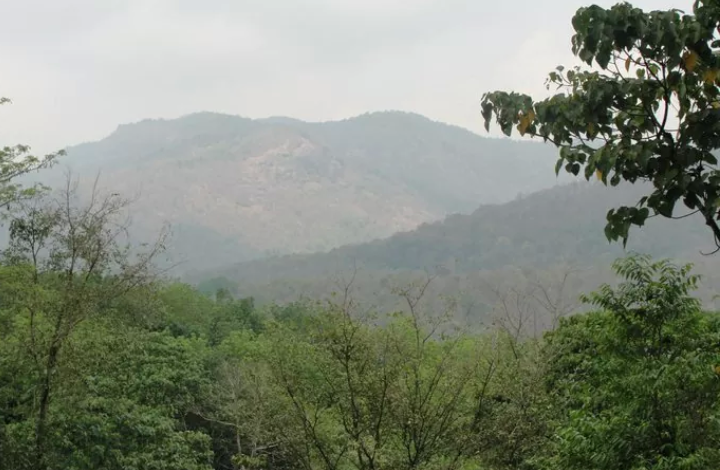 Photo of Vagamon- Uneven Greenery 5/7 by Aishwarya Venugopal