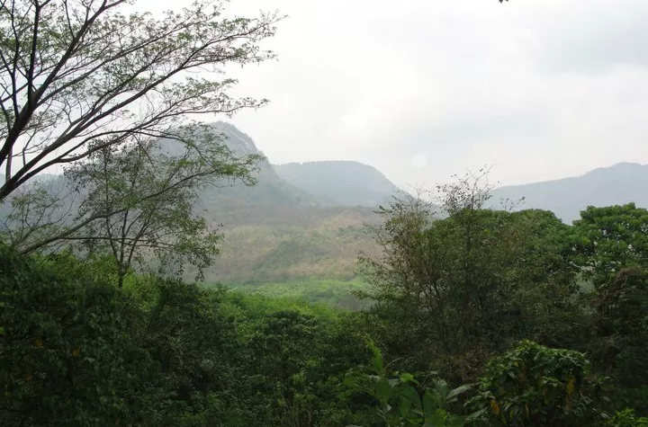 Photo of Vagamon- Uneven Greenery 7/7 by Aishwarya Venugopal