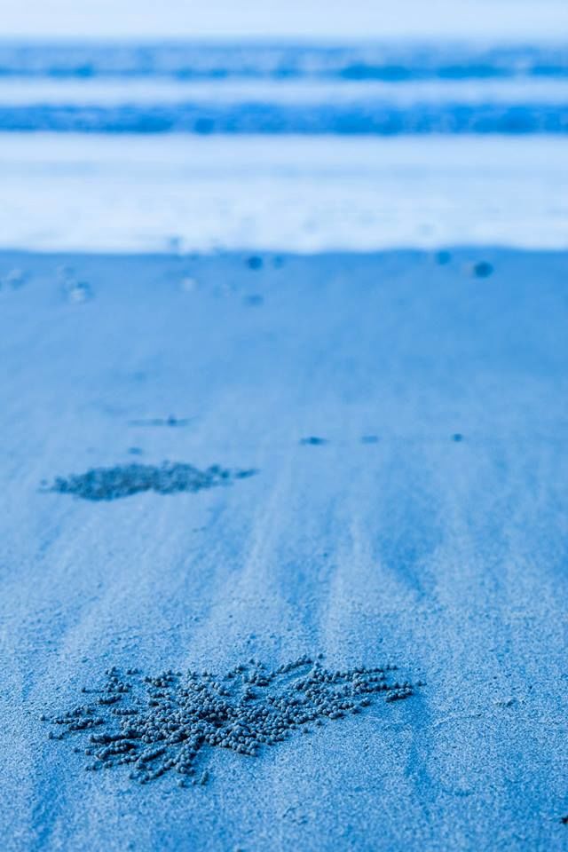 Photo of Dive and break the boundaries of realities 8/32 by Vasanth Varadan