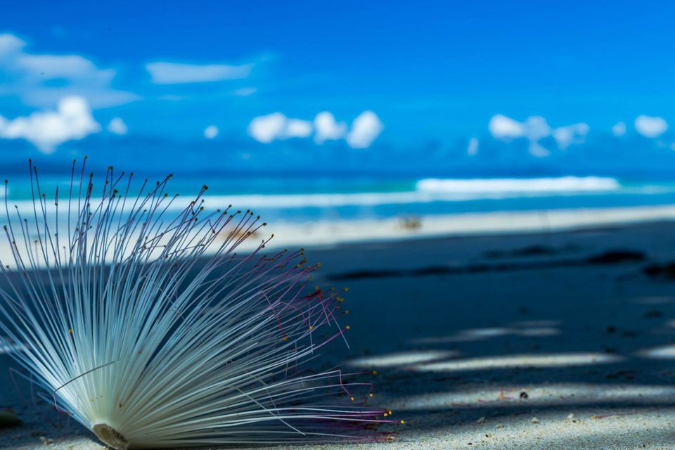 Photo of Dive and break the boundaries of realities 13/32 by Vasanth Varadan
