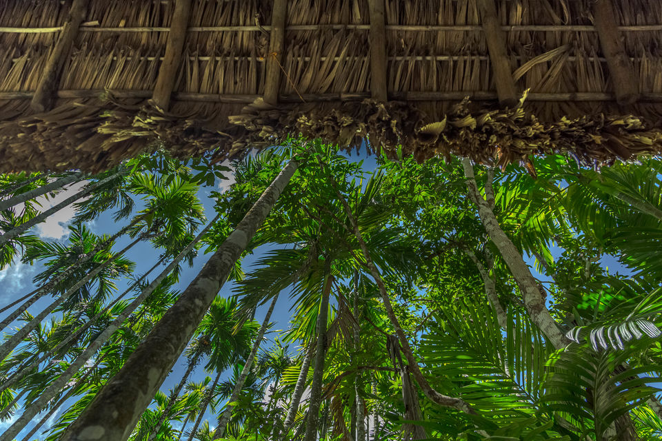 Photo of Dive and break the boundaries of realities 21/32 by Vasanth Varadan