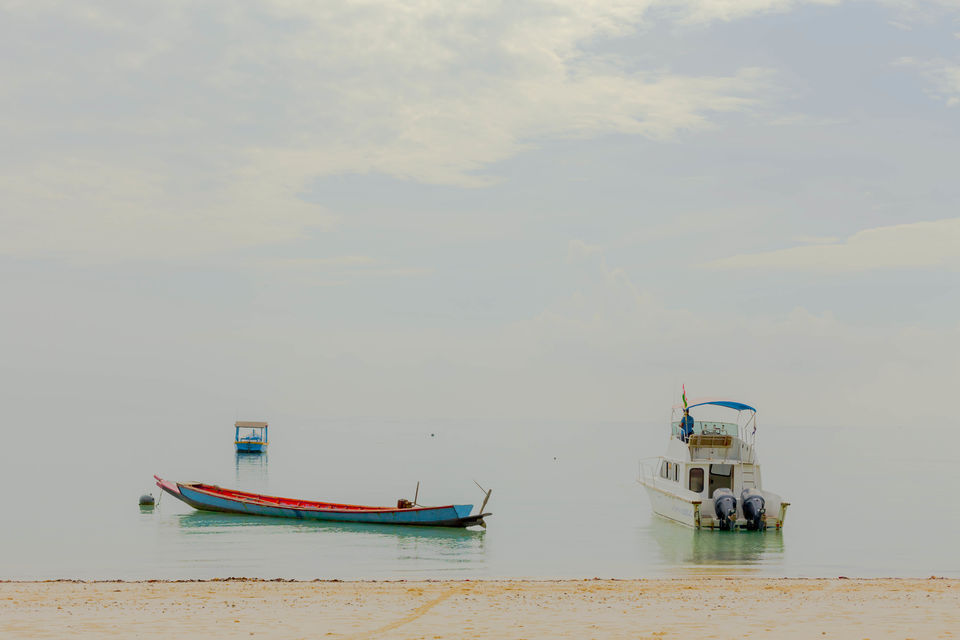 Photo of Dive and break the boundaries of realities 27/32 by Vasanth Varadan