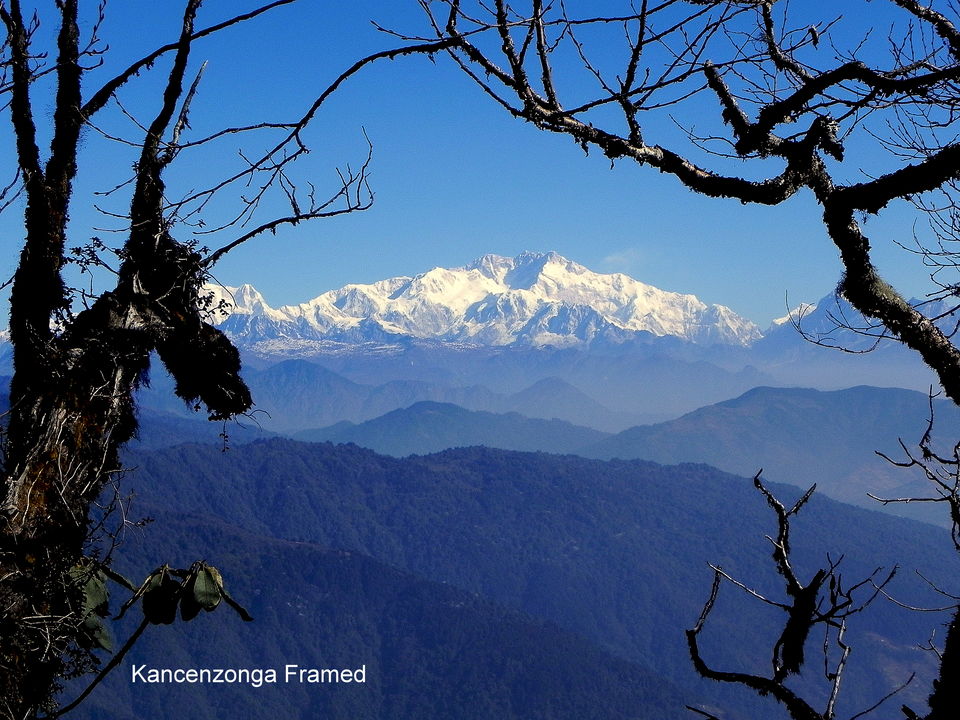 Photo of Sandakphu, for a view of Kanchenjunga and Everest 23/25 by Souvo Chowdhury