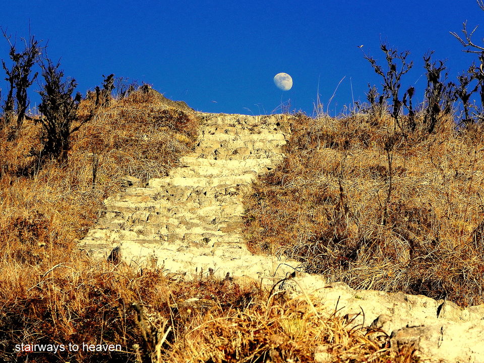 Photo of Weekend trek to Tumling from Darjeeling 15/19 by Souvo Chowdhury