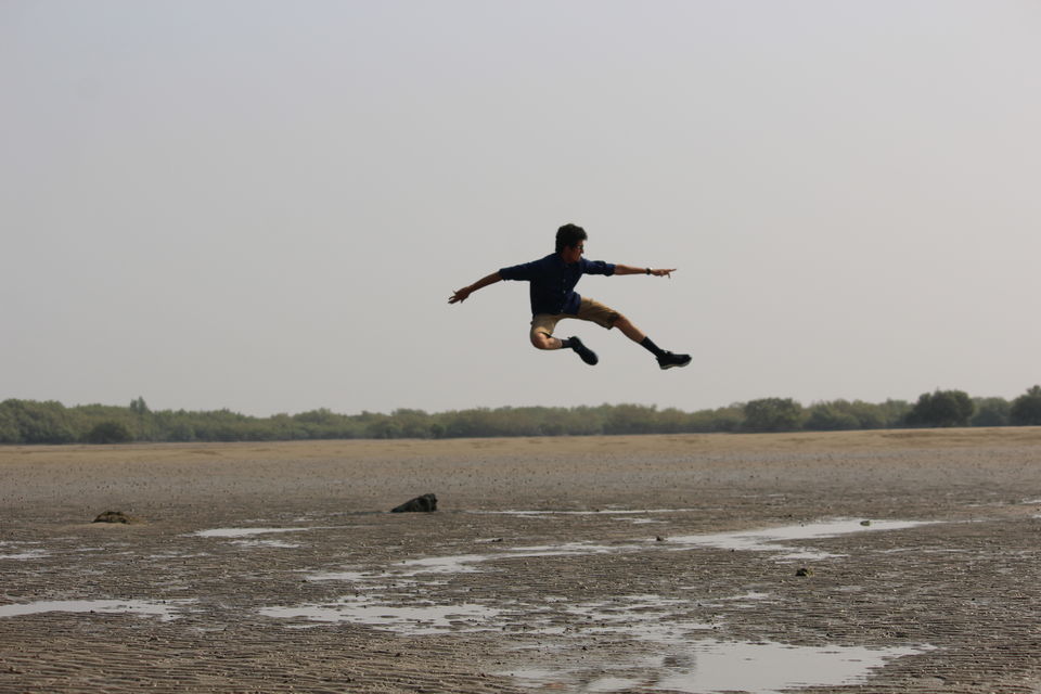 Photo of Pirotan Islands: Exploring the Marine Park 1/12 by Pratik Rachchh