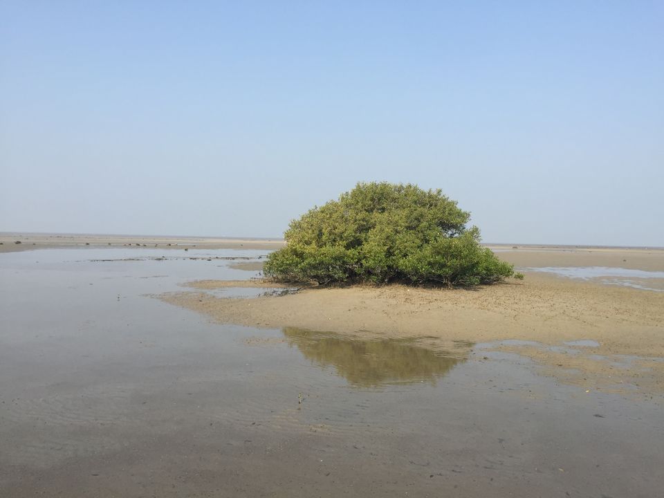 Photo of Pirotan Islands: Exploring the Marine Park 2/12 by Pratik Rachchh