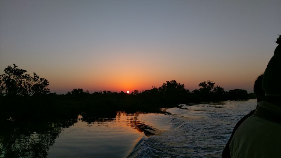 Photo of Pirotan Islands: Exploring the Marine Park 11/12 by Pratik Rachchh
