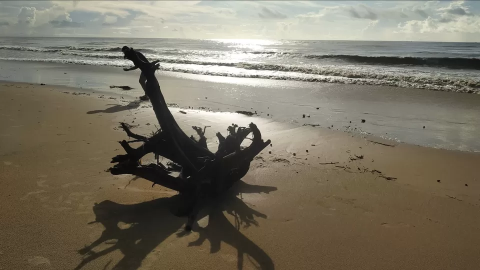 Photo of A day with a brand new beach by Shashwati Samanta