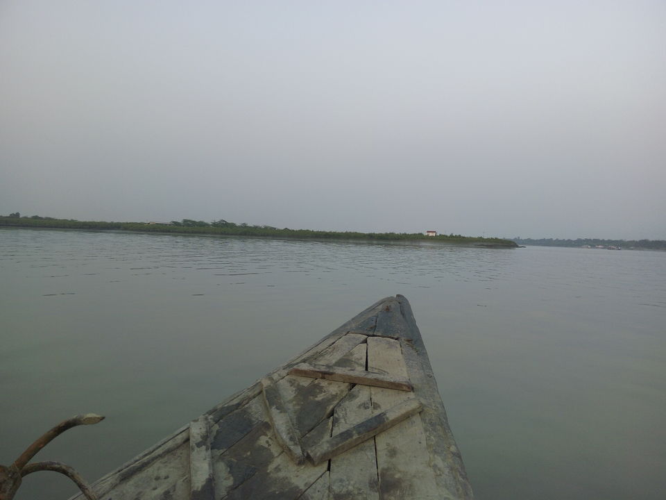Photo of The allegorical Sunderbans 4/39 by Deepak