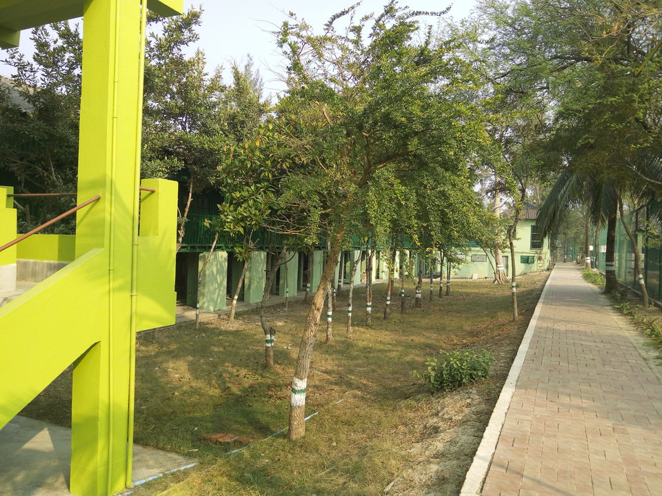 Photo of The allegorical Sunderbans 8/39 by Deepak