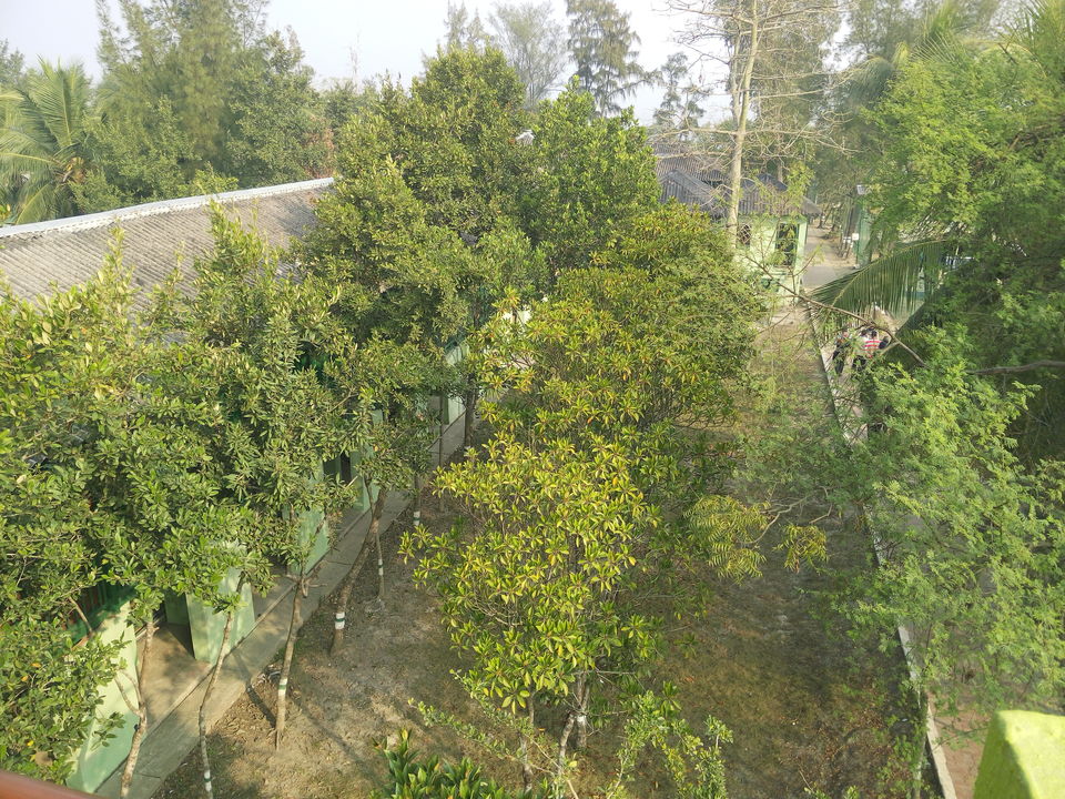 Photo of The allegorical Sunderbans 10/39 by Deepak