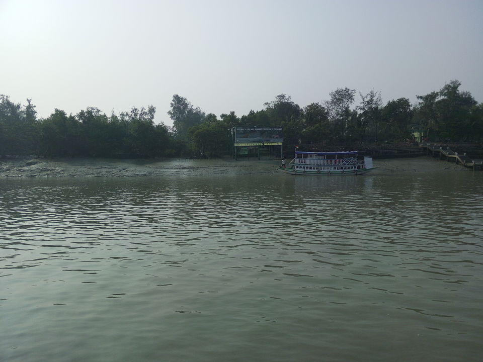 Photo of The allegorical Sunderbans 13/39 by Deepak