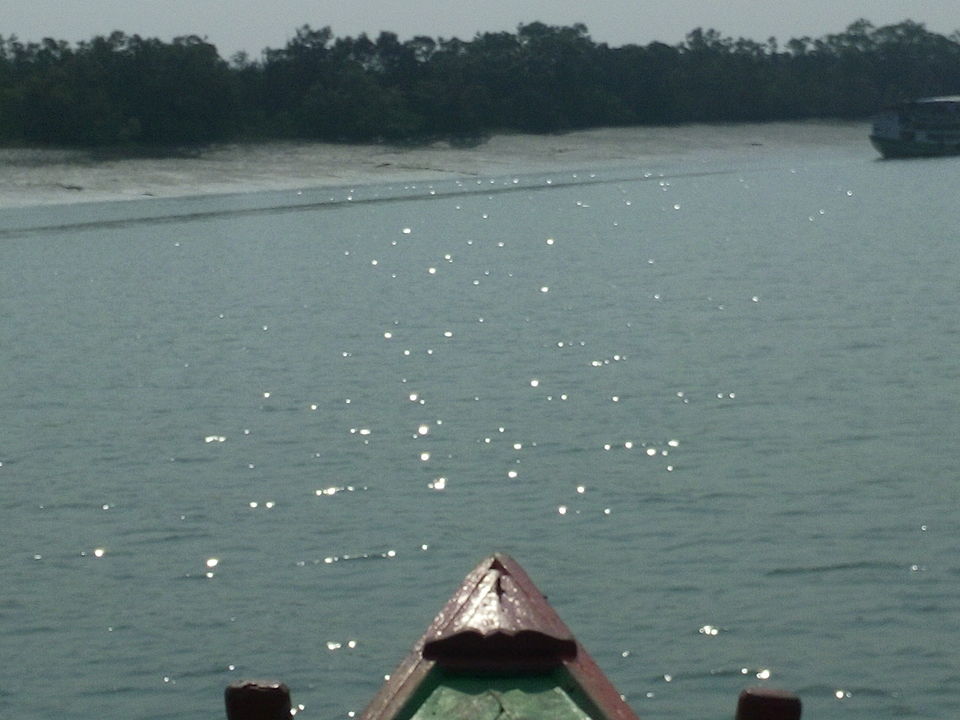 Photo of The allegorical Sunderbans 16/39 by Deepak