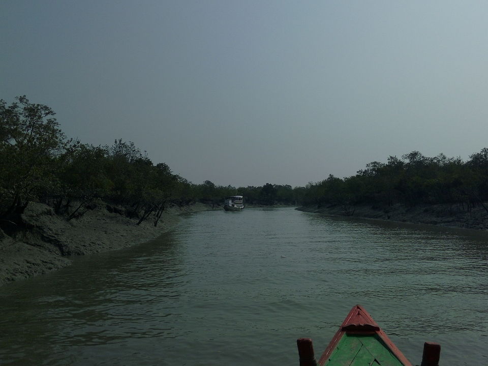 Photo of The allegorical Sunderbans 17/39 by Deepak
