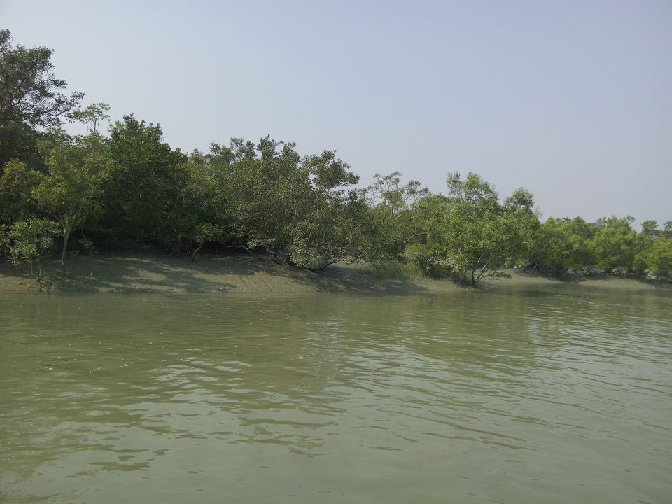 Photo of The allegorical Sunderbans 20/39 by Deepak