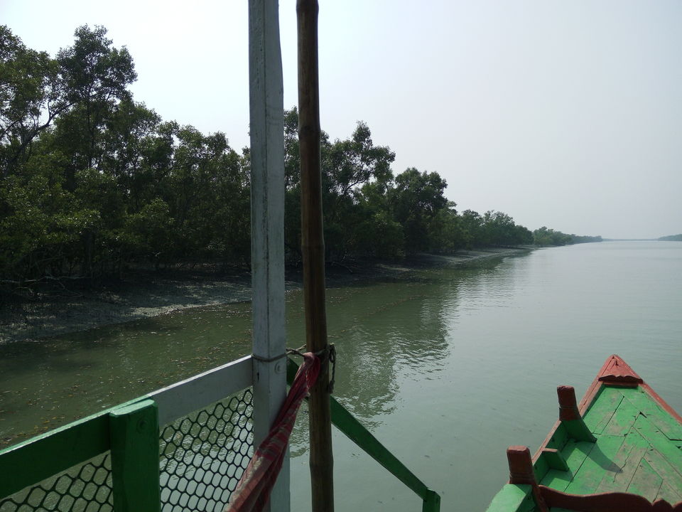 Photo of The allegorical Sunderbans 28/39 by Deepak