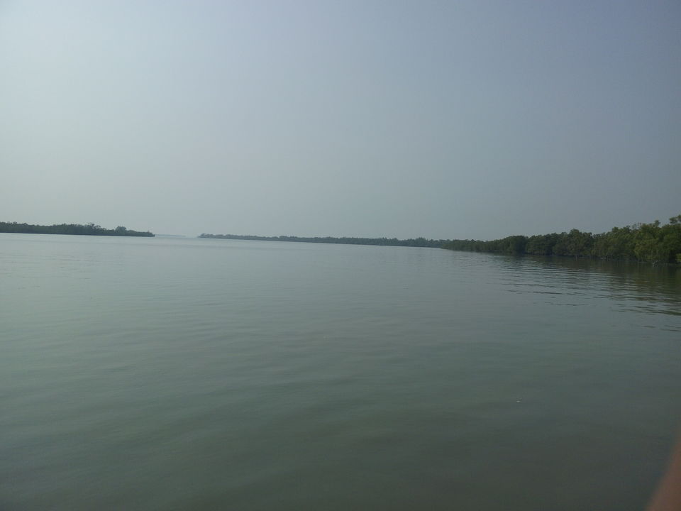 Photo of The allegorical Sunderbans 34/39 by Deepak