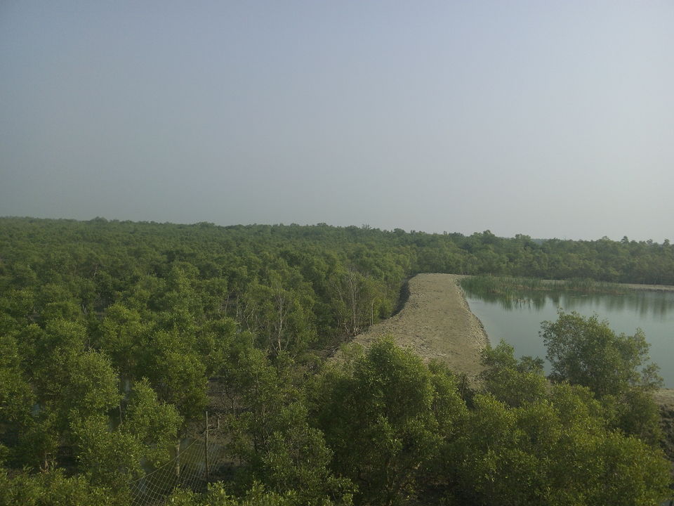 Photo of The allegorical Sunderbans 35/39 by Deepak
