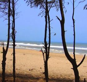 Photo of NH - 203, Nathapur, Bhubaneshwar, Odisha, India by Karan Sakhuja
