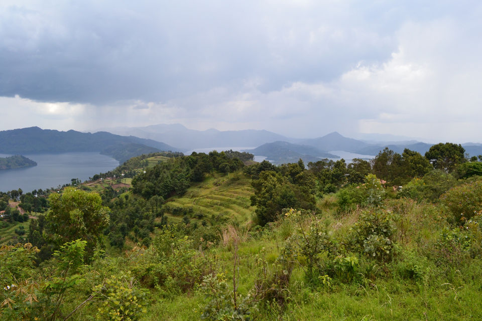 Photo of Rwanda: Express Gorilla Trekking 5/6 by Kayi Traveler