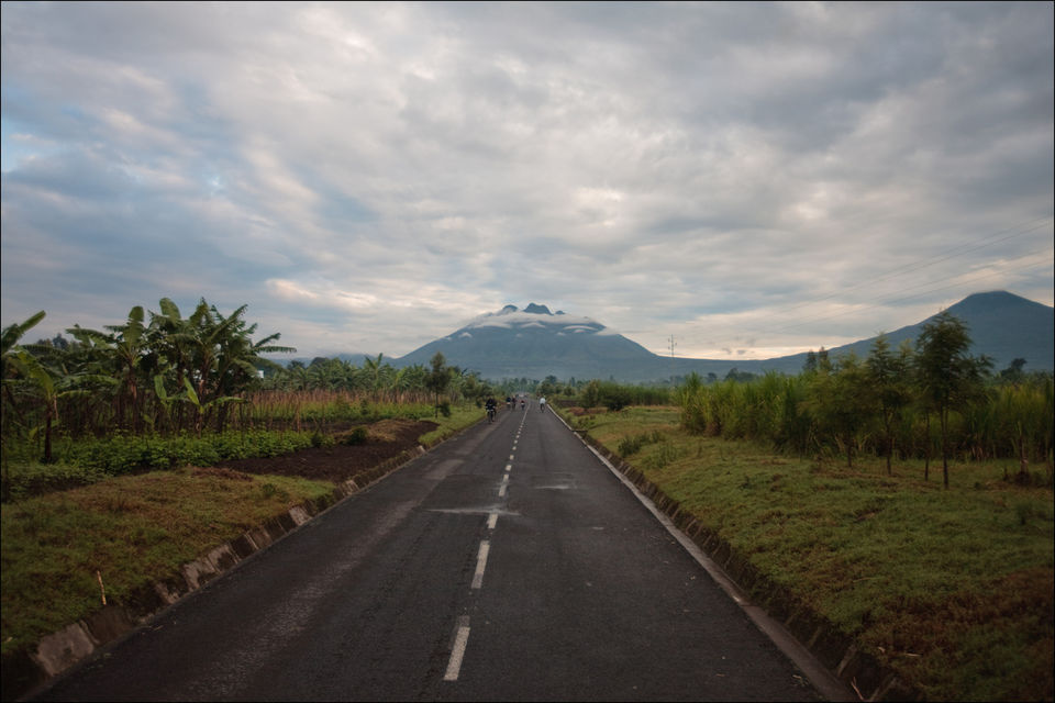 Photo of Rwanda: Express Gorilla Trekking 4/6 by Kayi Traveler