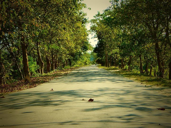 Photo of Trip to the second largest river island in the world – MAJULI 18/29 by Bikashjyoti Pathak
