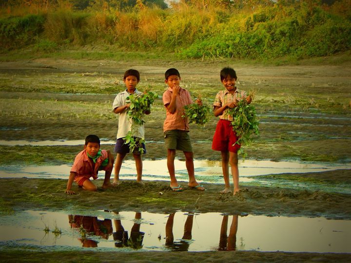 Photo of Trip to the second largest river island in the world – MAJULI 11/29 by Bikashjyoti Pathak