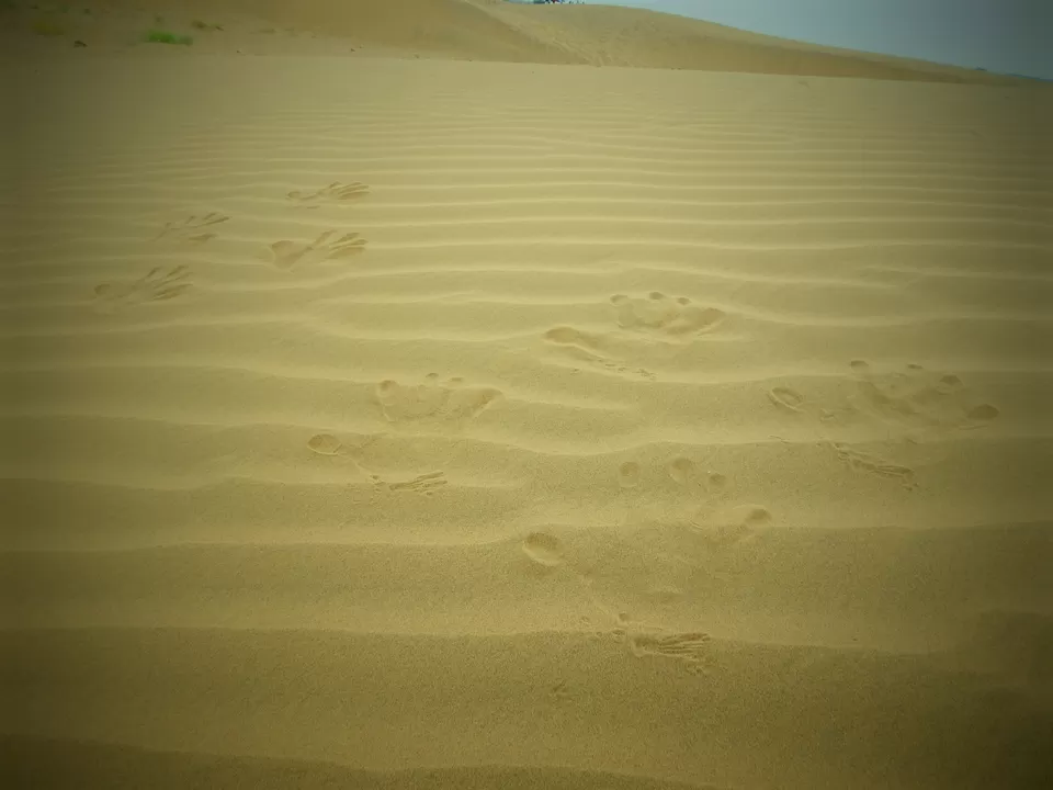 Photo of Sam Sand Dunes, MDR53, Kanoi, Rajasthan 345001, India by Bikashjyoti Pathak
