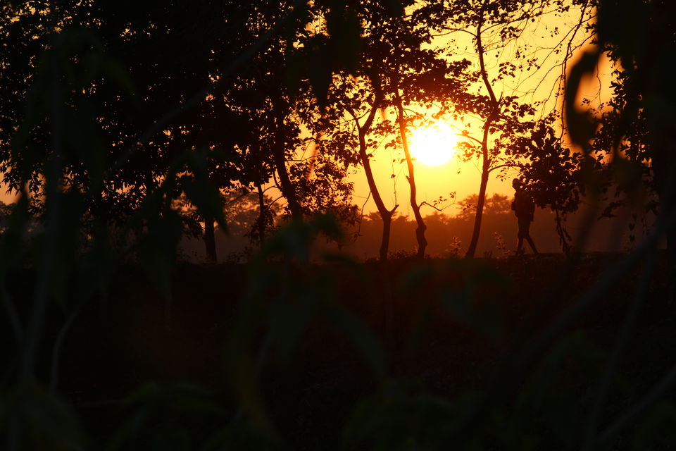 Photo of Trip to the second largest river island in the world – MAJULI 28/29 by Bikashjyoti Pathak