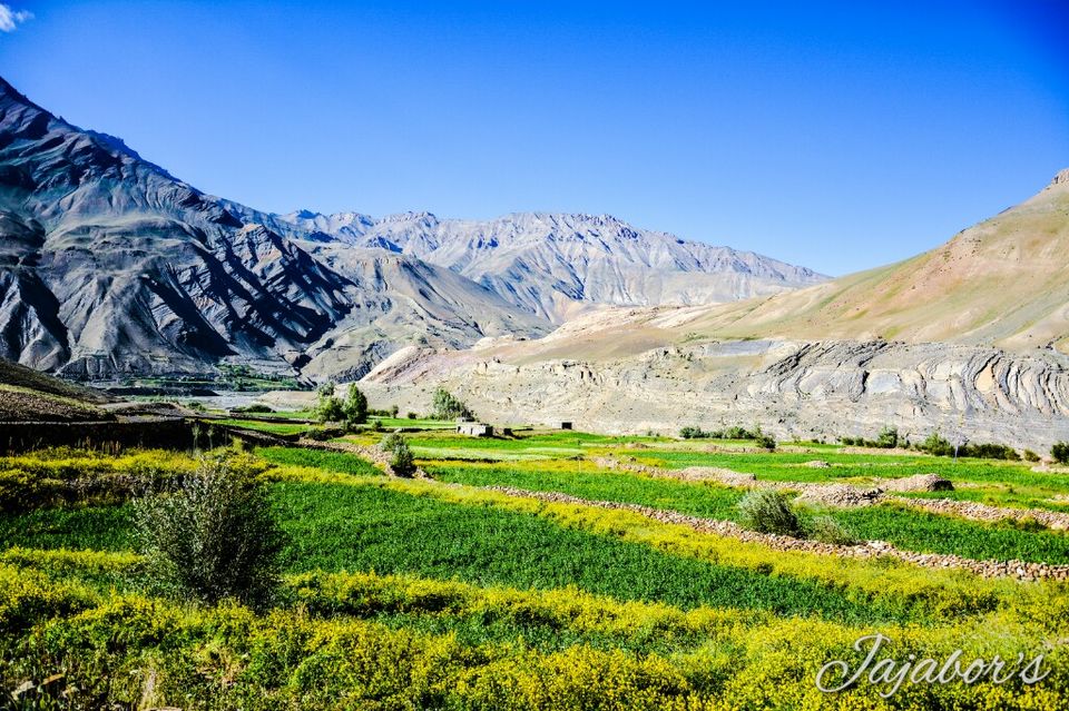 Photo of The Middle Land-III 7/7 by Bikashjyoti Pathak