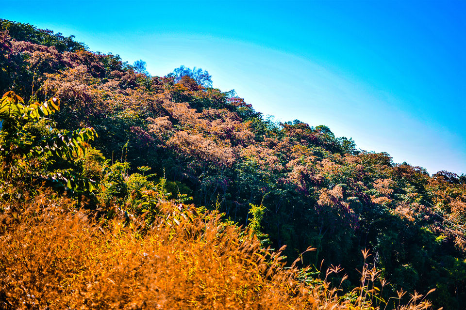 Photo of Aaaahhhh!!!! Mokokchung!!!! 3/14 by Bikashjyoti Pathak