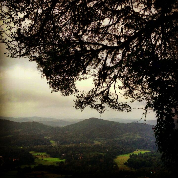 Photo of Coorg: A Trip to the Mystic Mountains 2/30 by Swarchaa