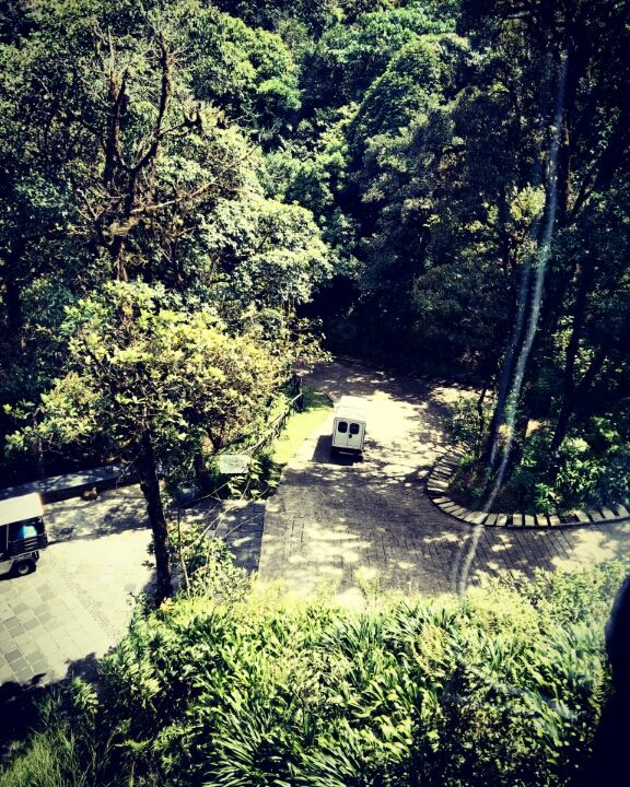 Photo of Coorg: A Trip to the Mystic Mountains 4/30 by Swarchaa