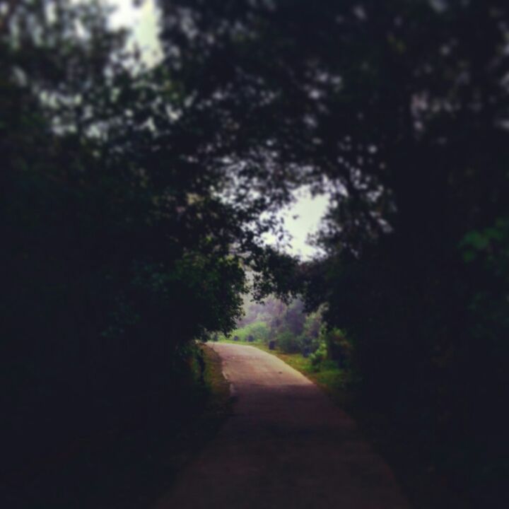 Photo of Coorg: A Trip to the Mystic Mountains 6/30 by Swarchaa