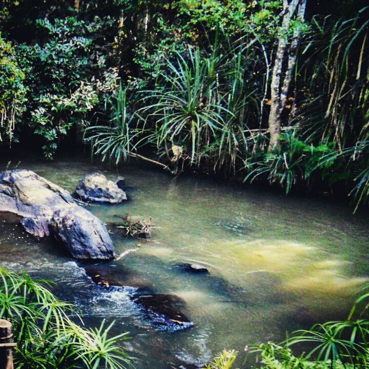 Photo of Coorg: A Trip to the Mystic Mountains 7/30 by Swarchaa