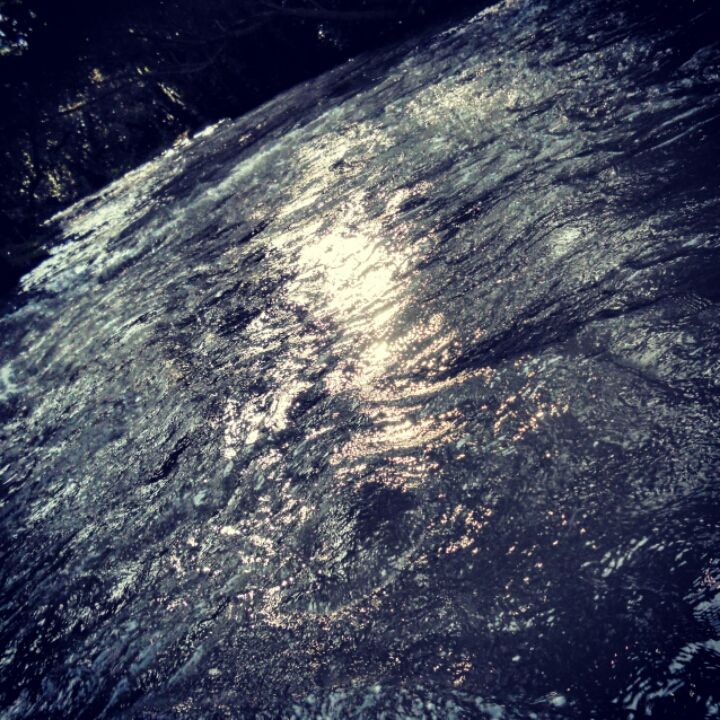 Photo of Coorg: A Trip to the Mystic Mountains 8/30 by Swarchaa