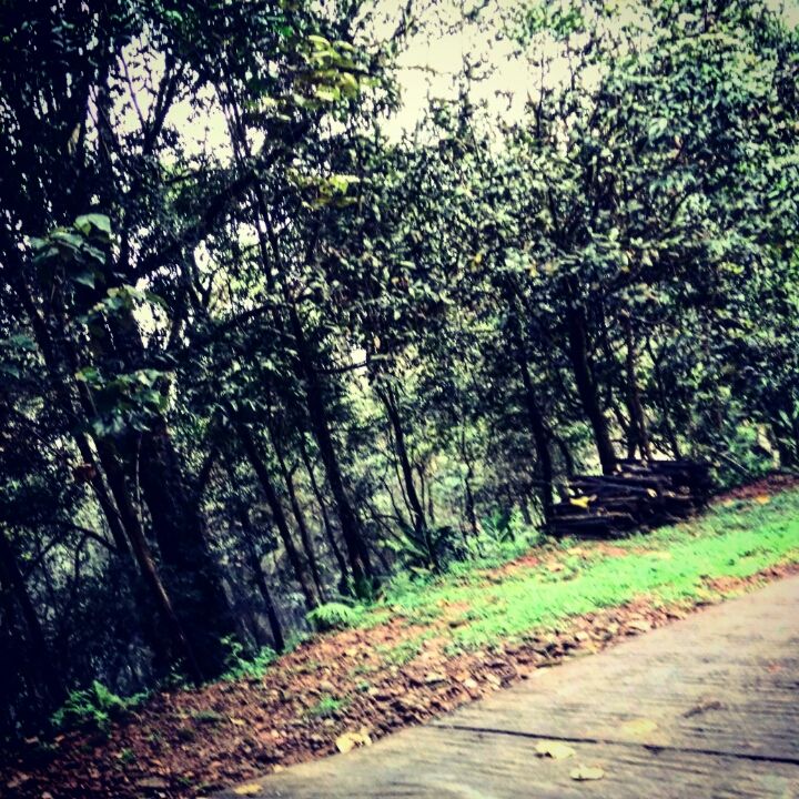 Photo of Coorg: A Trip to the Mystic Mountains 9/30 by Swarchaa